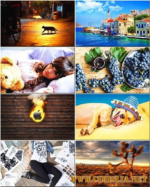 Обои для рабочего стола - Разное [2016]