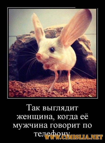 Демотиватор