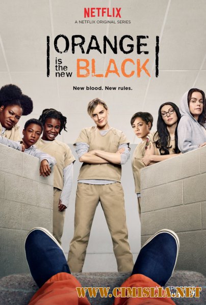 Оранжевый - новый черный / Оранжевый - хит сезона / Orange Is the New Black [S01-05] [2013-2017 / WEBRip]