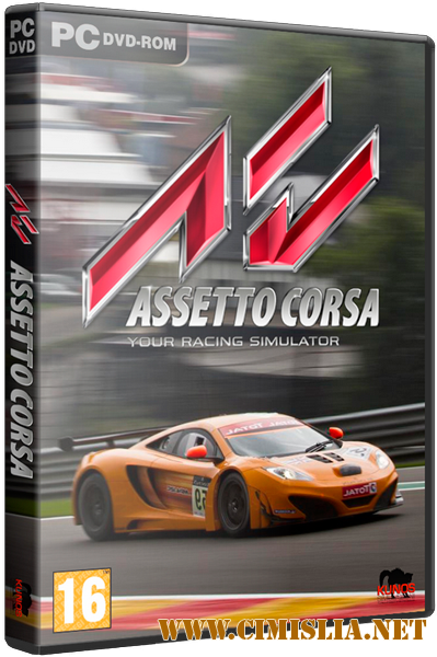 Assetto Corsa [v 1.7.5 Hotfix + 5 DLC] [RePack] [2013 / RUS / ENG / MULTi6]