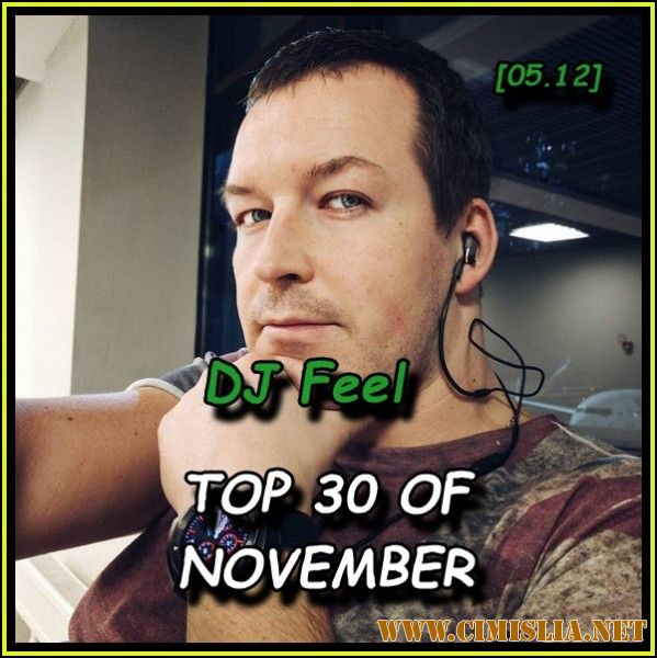 DJ Feel - TOP 30 Of November [05.12.2016 / MP3 / 320 kb]