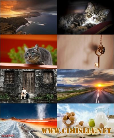 Обои для рабочего стола - Разное [2016]