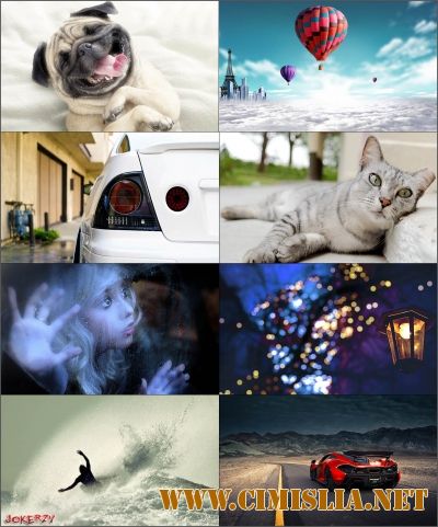 Обои для рабочего стола - Разное [2016]