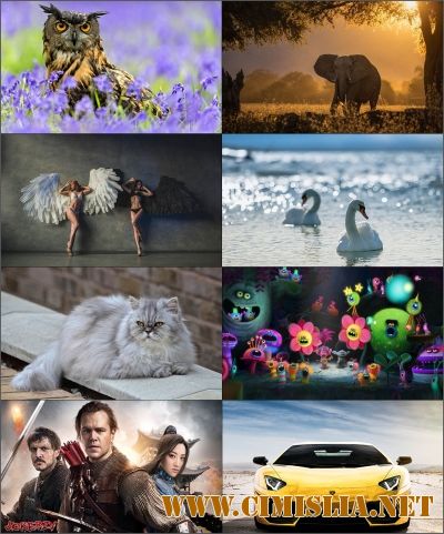 Обои для рабочего стола - Разное [2016]