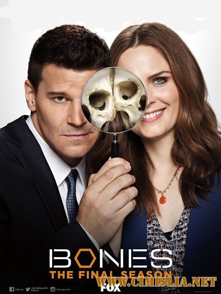 Кости / Bones [12x01-10 из 12] [2017 / WEB-DLRip]