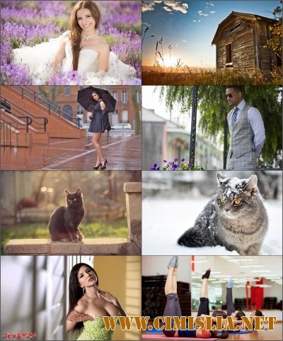 Обои для рабочего стола - Разное [2017]