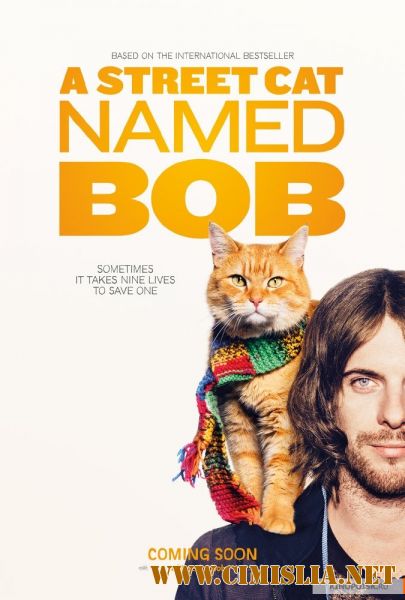 Уличный кот по кличке Боб / A Street Cat Named Bob [2016 /  HDRip | Лицензия]