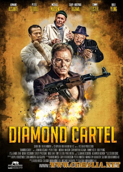 Бриллиантовый картель / Diamond Cartel [2017 / WEB-DLRip]