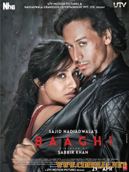 Бунтарь / Baaghi [2016 / DVDRip]