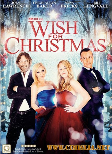Рождественское желание / Wish For Christmas [2016 / DVDRip]
