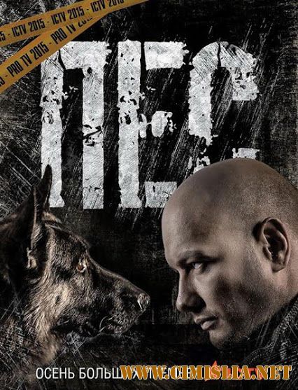 Пёс [S02] [2016 / WEB-DLRip]