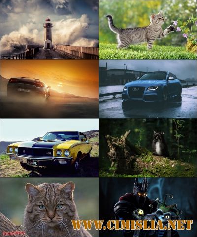 Обои для рабочего стола - Разное [95шт.] [2017 / JPG]