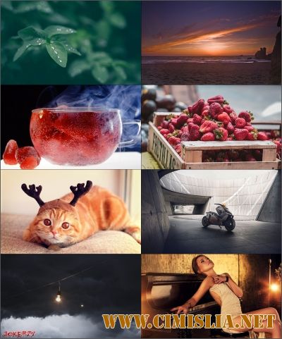 Обои для рабочего стола - Разное [130шт.] [2017 / JPG]