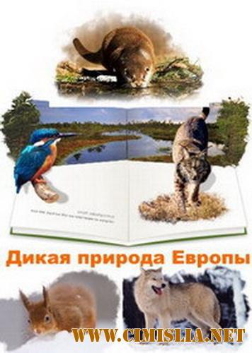 Дикая природа Европы / Planet Europa [1-16 серии из 16] [2013 / HDTVRip]
