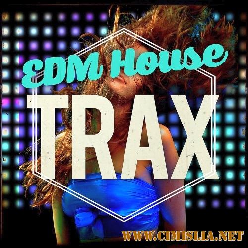 EDM House Reverse Trax [2017 / MP3 / 320 kb]
