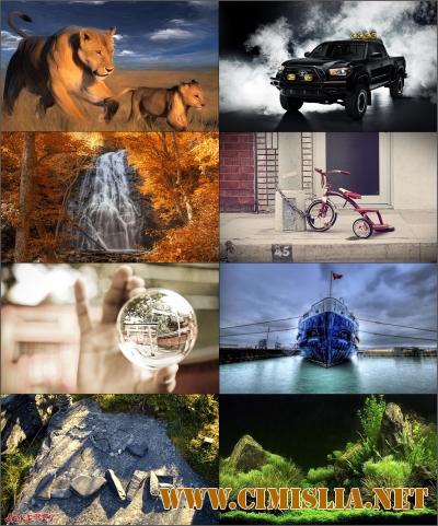 Обои для рабочего стола - Разное [100шт.] [2017 / JPG]