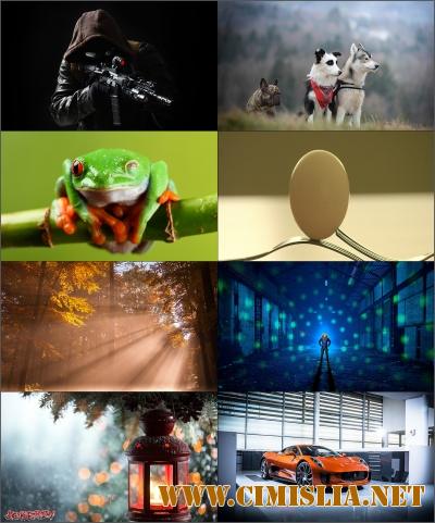 Обои для рабочего стола - Разное [79шт.] [2017 / JPG]