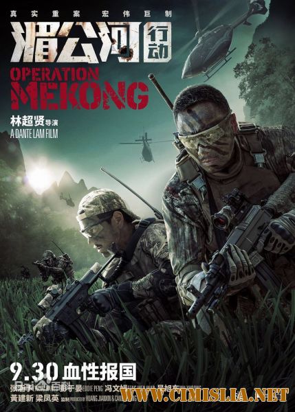 Операция «Меконг» / Mei Gong he xing dong / Operation Mekong [2016 / BDRip]