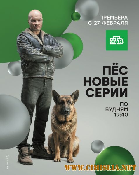 Пёс [S02] [2016 / WEB-DLRip]