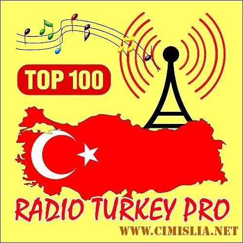 Radio Turkey PRO Top 100 (Best Of Summer) [2017 / MP3 / 320 kb]