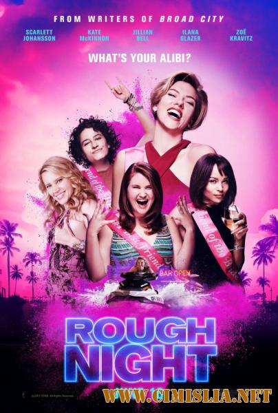 Очень плохие девчонки / Rough Night [2017 / HDRip от Scarabey | Лицензия]