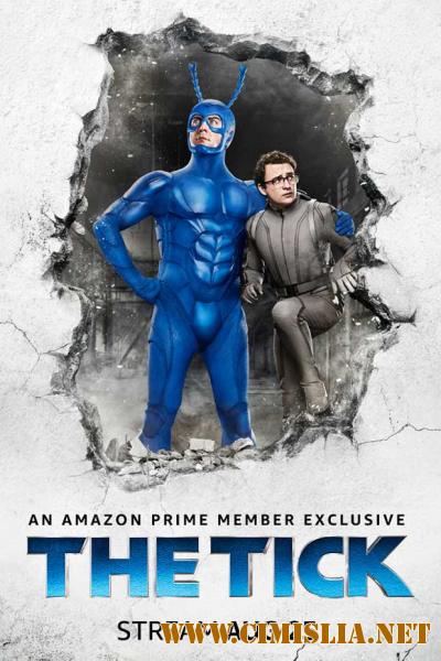 Тик / The Tick [01x01-06 из 06] [2016 / WEBRip]
