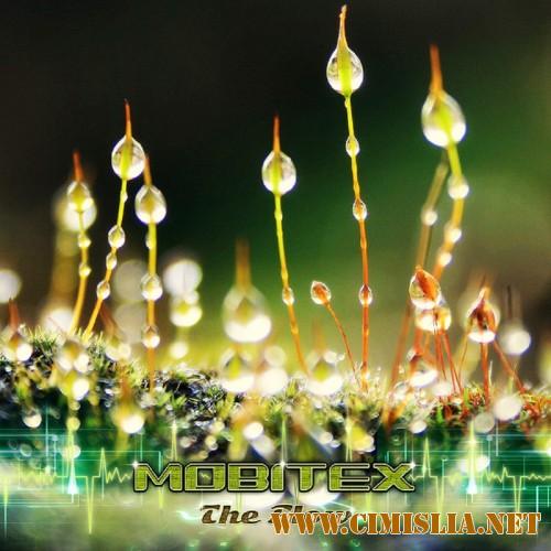 Mobitex - The Flow [2017 / MP3 / 320kb]