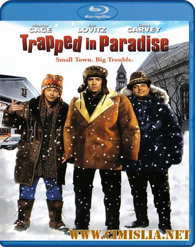 В раю, как в ловушке / Пойманный в раю / Trapped in Paradise [1994 / DVDRip]