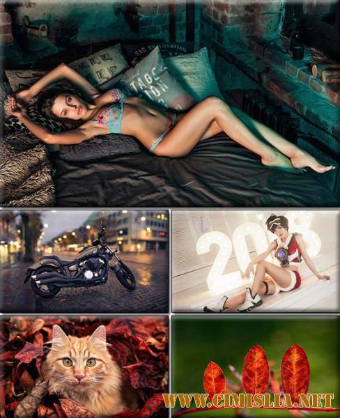 Обои для рабочего стола - Разное [2375 шт.] [2018 / JPG]