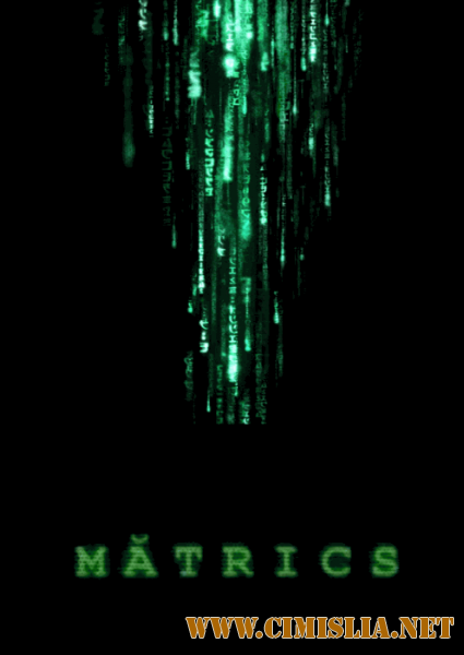 Matrix - Traducere Moldoveneasca HD Remux / M&#259;trix [1999 / BDRip]