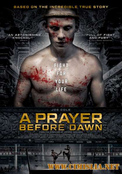 Бои без правил / A Prayer Before Dawn [2017 / WEB-DLRip]