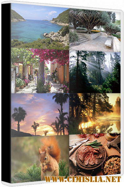 Обои для рабочего стола - Разное [101шт.] [2018 / JPG]