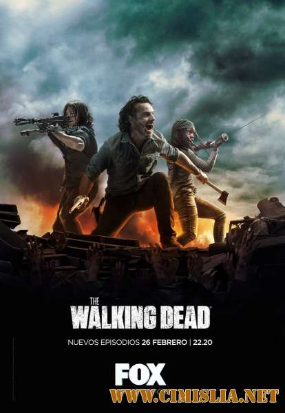 Ходячие мертвецы / The Walking Dead [09x01-14 из 16] [2018 / WEB-DLRip]