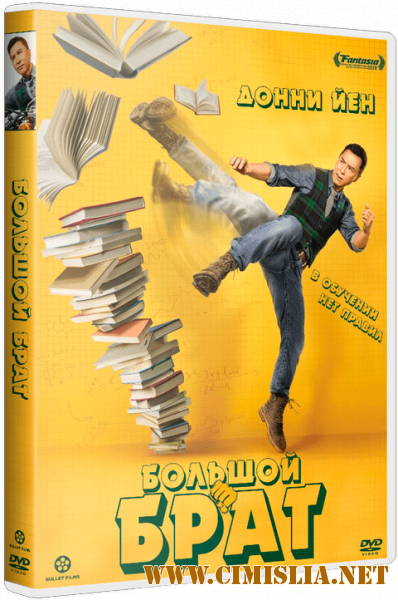 Большой брат / Dai si hing [2018 / WEB-DLRip]