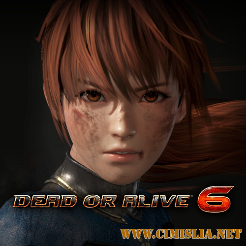 Dead or Alive 6 [v 1.01 + DLCs] [2019 / ENG / RUS / JPN]