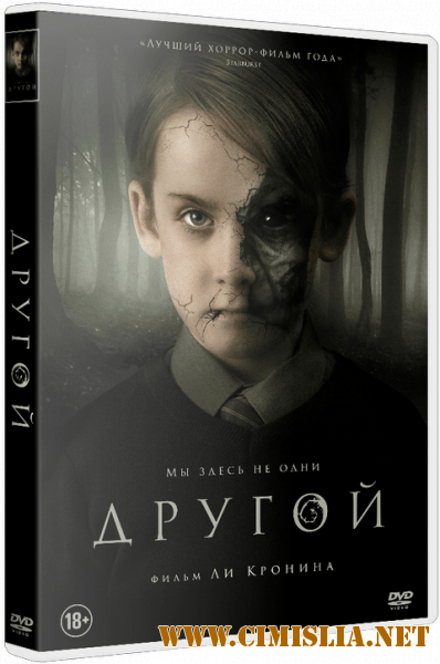 Другой / The Hole in the Ground [2019 / BDRip | iTunes]