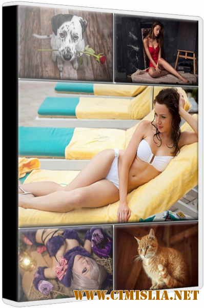 Обои для рабочего стола - Разное [1265шт.] [2019 / JPG]