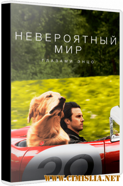 Невероятный мир глазами Энцо / The Art of Racing in the Rain [2019 / BDRip | iTunes]