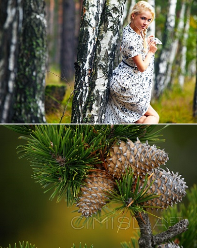 Обои для рабочего стола - Девушки, природа [1920x1200 - 7680x4320] [49 шт.] (2021) JPG