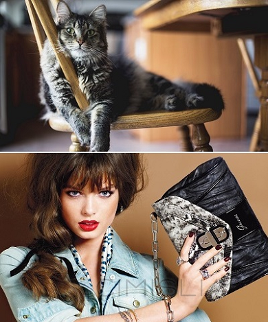 Обои для рабочего стола - Разное [1920x1080 - 7680x4320] [40 шт.] (2021) JPG