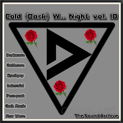 VA - Cold (Dark) W... Night vol. 10 [by The Sound Archive] (2021) MP3