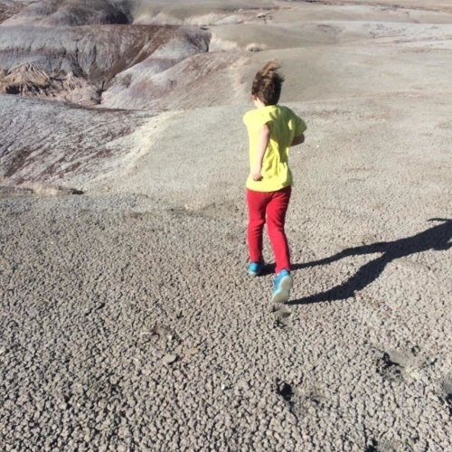 The Polyphonic Spree - Afflatus (2021) MP3