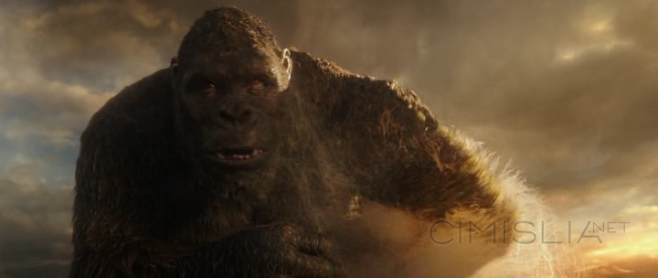 Годзилла против Конга / Godzilla vs. Kong (2021)