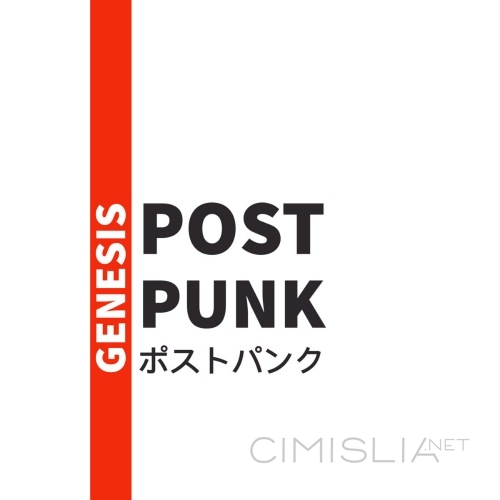 VA - Post-Punk [Genesis] (2021) MP3
