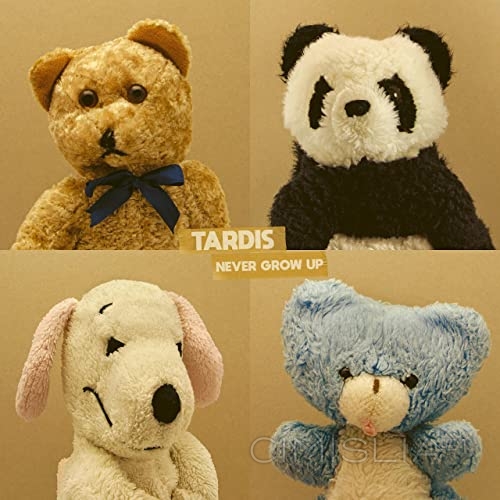 Tardis - Never Grow Up (2021) MP3