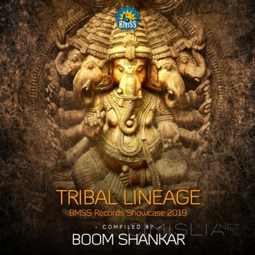 VA - Tribal Lineage (2019) MP3