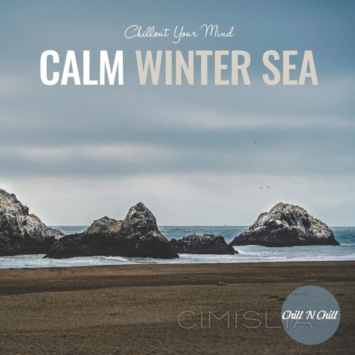 VA - Calm Winter Sea: Chillout Your Mind (2021) MP3