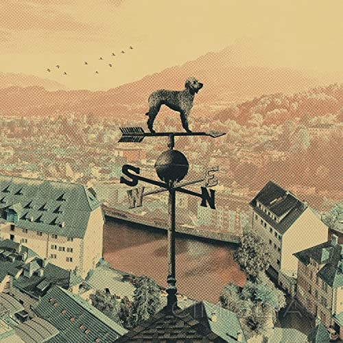 Cold Collective - Weathervane (2021) MP3