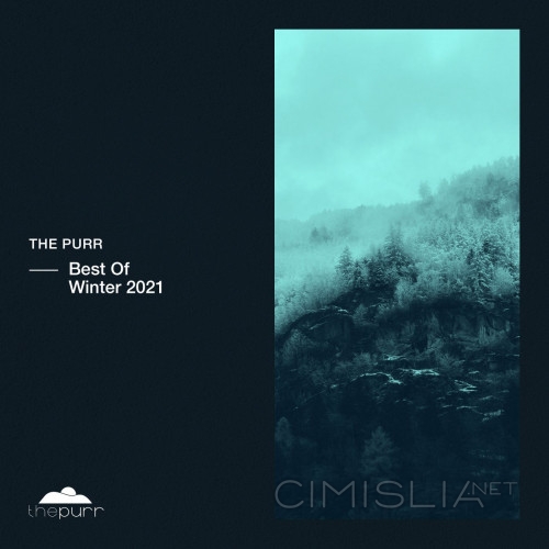 VA - Best Of Winter 2021 (2021) MP3