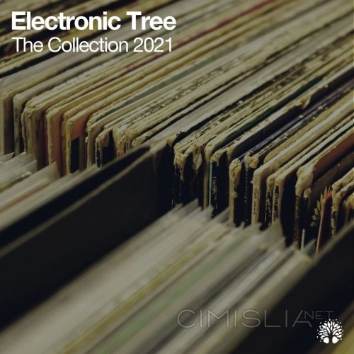 VA - The Collection 2021 (2021) MP3